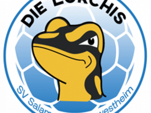 Wir sind Sponsor vom SV Salamander Kornwestheim 3. Handball bei INNOBLICK Elektrotechnik GmbH in Kornwestheim